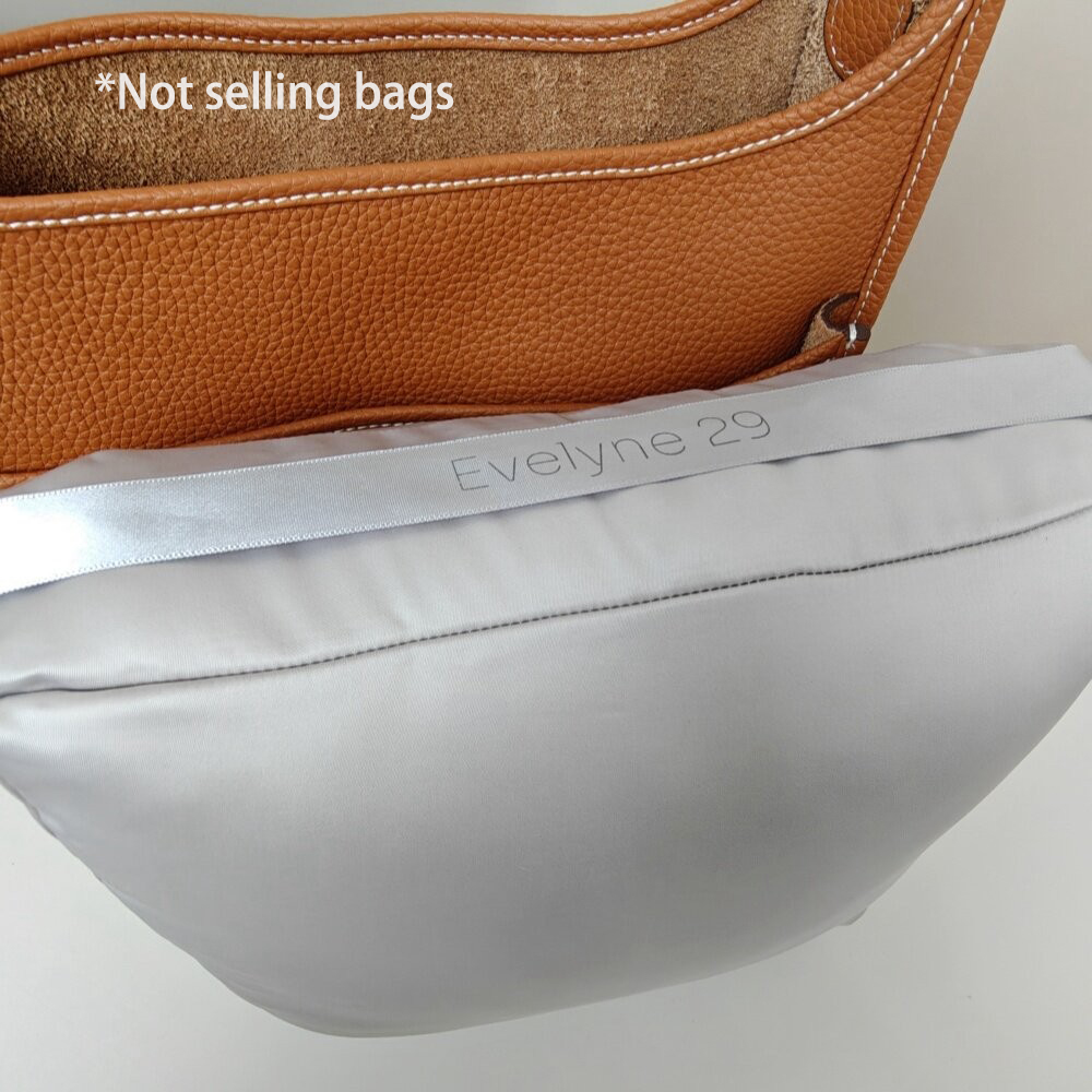 مناسب لحقيبة يد Evelyne23، وسا - مراجعة Women'S Bag وسعره